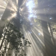 mirage (prod. richmnkey X amslashwas)