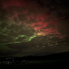 nightmares - feat YLG POP