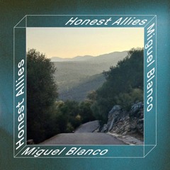 HONEST ALLIES #25 // Miguel Blanco (Panka Panka)