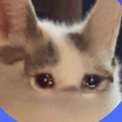 LIL UZI VERSE IN SMILE