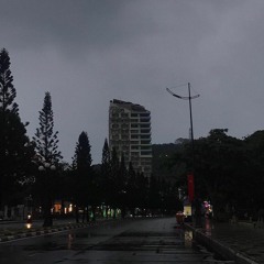 Chim vao tinh yeu - dfaat