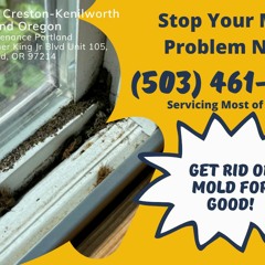 Mold Inspection Creston-Kenilworth Portland Oregon - Pure Maintenance Portland - 503-461-1006