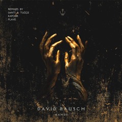Premiere: David Rausch - Hands (Original Mix) || MŎNɅDɅ