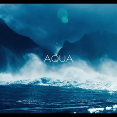R3DN1K - Aqua