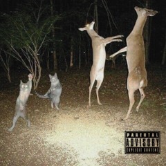 Call of the Wild Mix