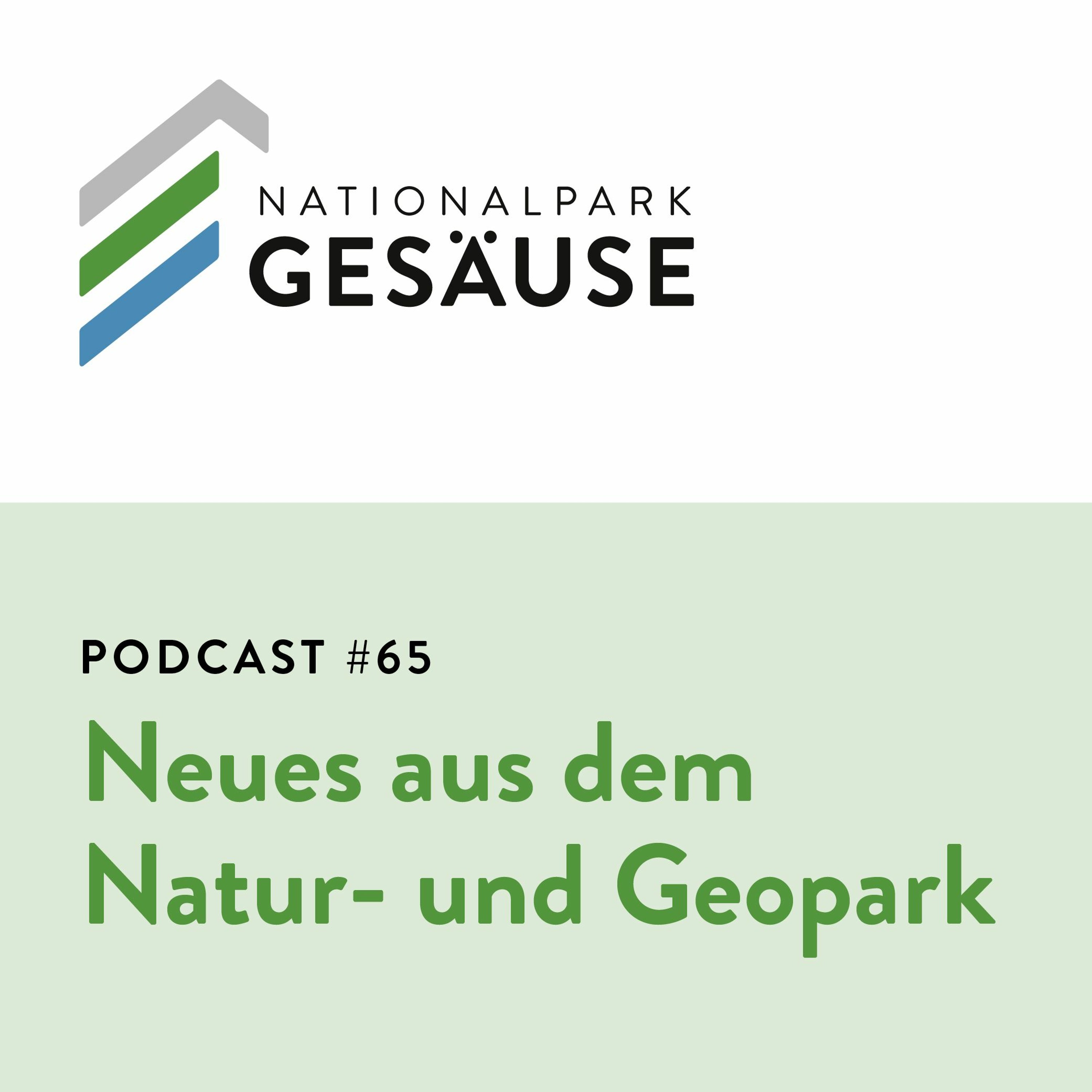 Podcast #65 - Neues aus dem Natur- und Geopark steirische Eisenwurzen episode artwork
