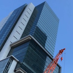 SHIBUYA ZONE【RED ZONE×田87系統】
