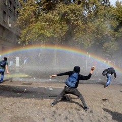 نسخ القطط