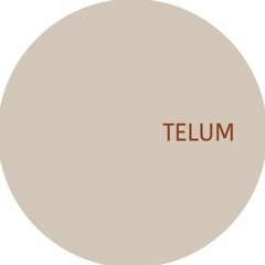 TELUM008 - Unknown Artist - Untitled B1