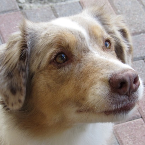 3rd Dimension of Depth