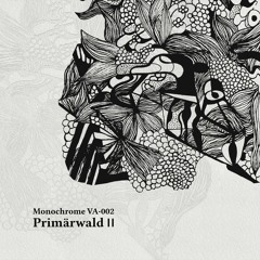 𝐏𝐫𝐞𝐯𝐢𝐞𝐰𝐬 : Primärwald II • Monochrome VA·002 [MCR03]