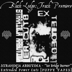 BL Premiere: STRAHINJA ARBUTINA - "Ice Bridge Burner" [Puppy Tapes]
