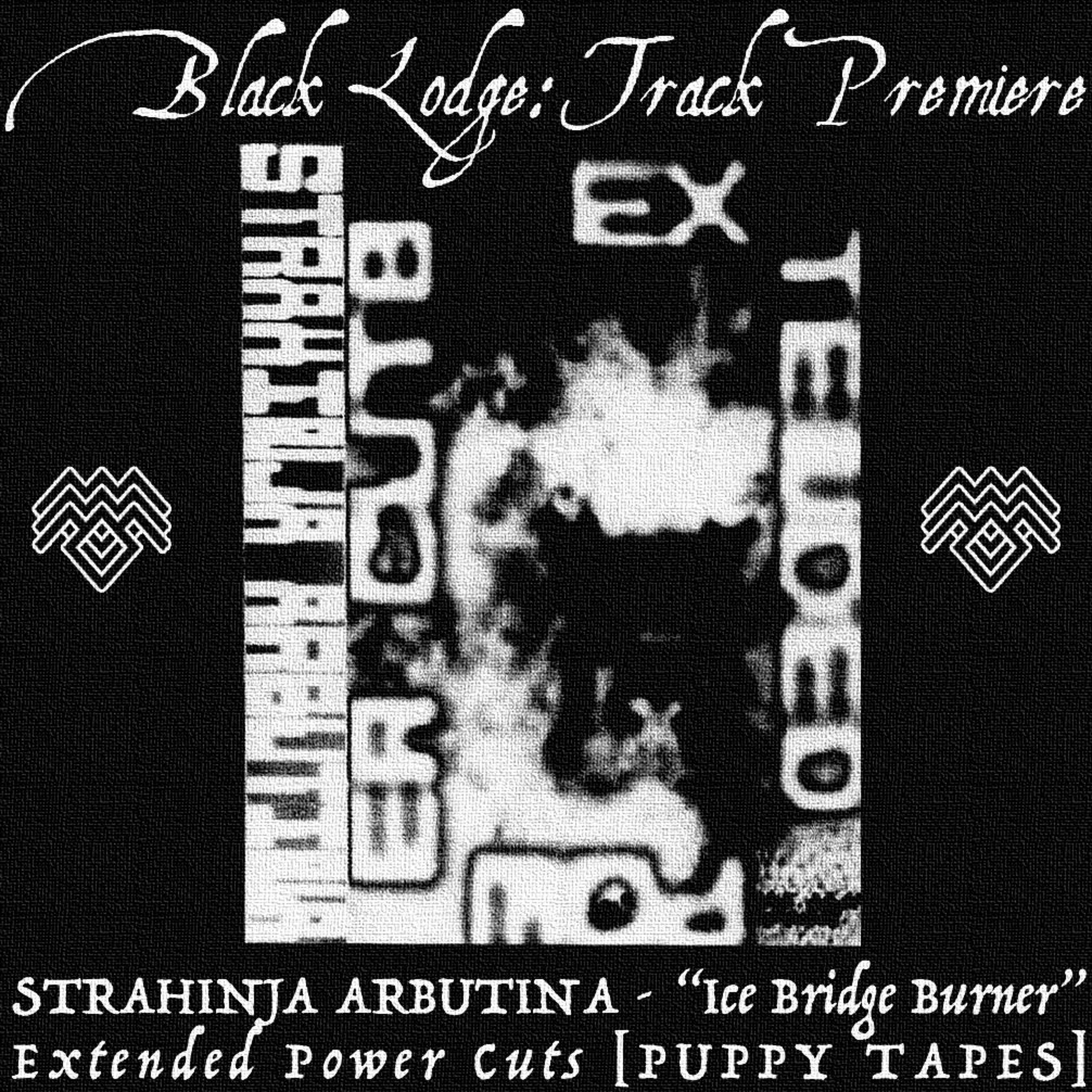 BL Premiere: STRAHINJA ARBUTINA - "Ice Bridge Burner" [Puppy Tapes] episode artwork