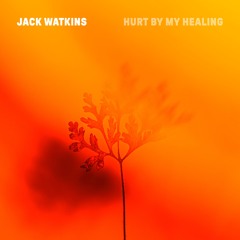 Hurt By My Healing