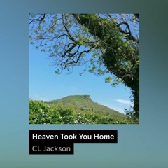 Heaven Took You Home