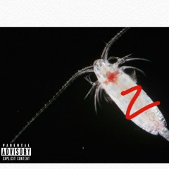 Plan Z (Chum Freestyle)