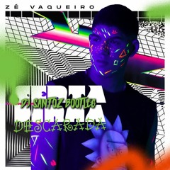 Zé Vaqueiro - Sentadinha Descarada (Dj Santoz Bootleg)