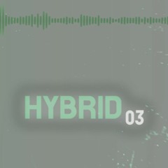 HYBRID.03