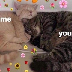 meowington