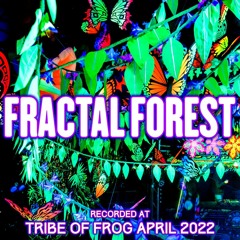 Fractal Forest - Recorded at TRiBE of FRoG Spring Finale 2022 [Room 4]