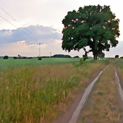 Lead Over Fields (free download)