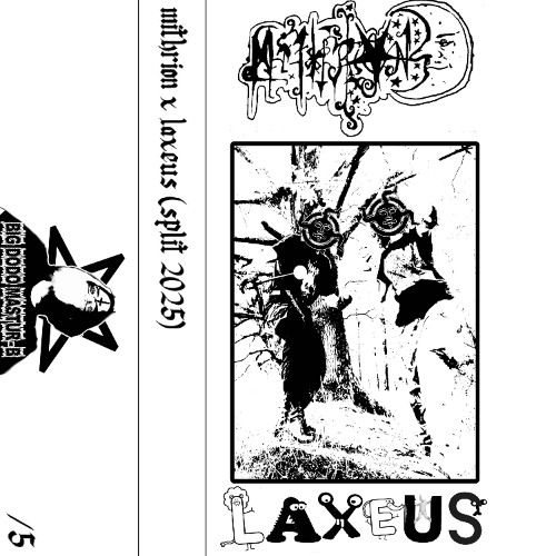 It Stands Like a String