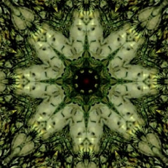 963hz - High Frequency Sahasrara (Solfeggio Guru & Wellness Music)