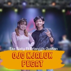 Ojo Njaluk Pegat - Esa Risty Ft Erlangga Gusfian (Official Live Music) Pancene Bene