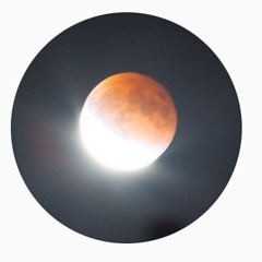 Midnight [Demo] 7.18.21.11.48AM