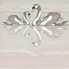 Swans