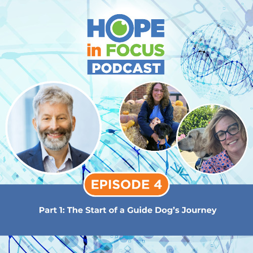 Hope in Focus Podcast | Episode 4 - Part 1: The Start of a Guide Dog’s Journey