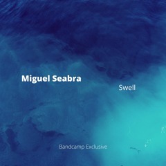 Miguel Seabra - Swell (Original Mix)