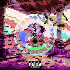 Close The Lid (rebound)