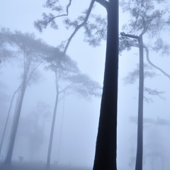 Alone