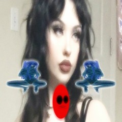 wifi hexxd (surgeise)