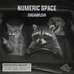 Numeric Space - Dreamflow