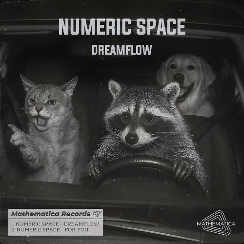 Numeric Space - Dreamflow