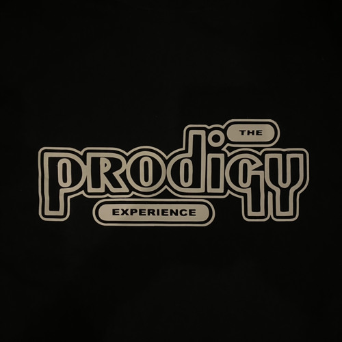 The Prodigy: Experience (Full Album)