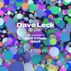 Opal (Erdi Irmak Remix)