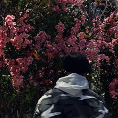 мы не такие, как они