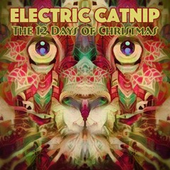 The Twelve Days of Christmas