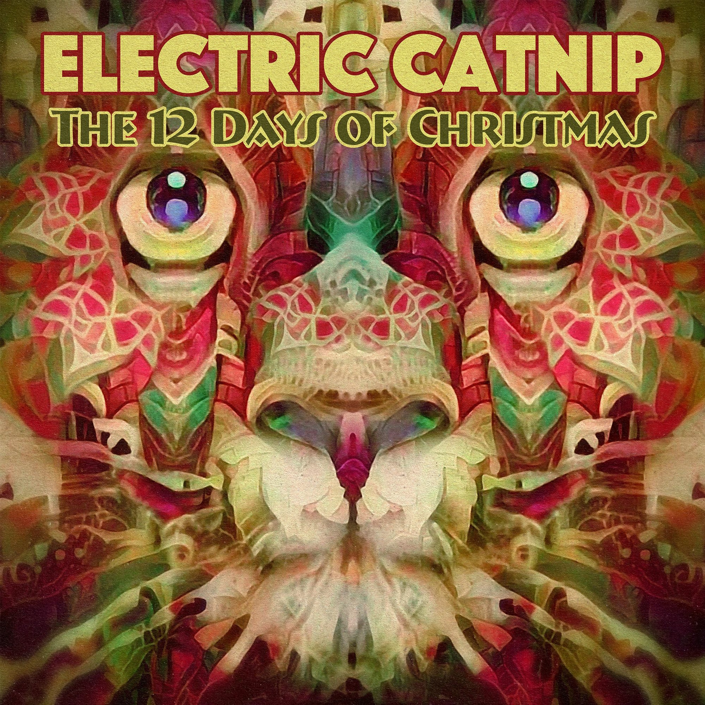 The Twelve Days of Christmas episode artwork