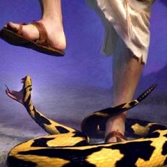 Deliverance 11