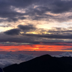 Going in Blind (Demo)