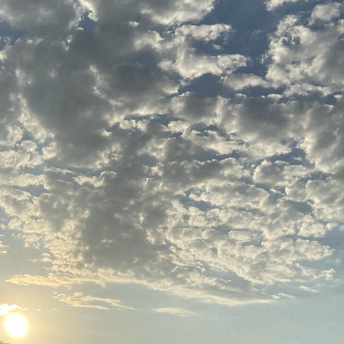 Summer Weather