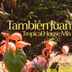 También Juan | Tropical House Mix