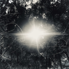 GUIT LOOP IMP 15.mp3