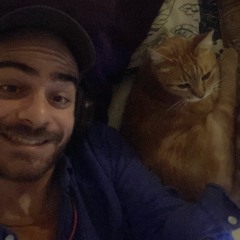 Loris S Sarid (4/11/22)