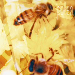 pollen [100 FOLLOWERS SONG!]