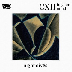 CXII - night dives